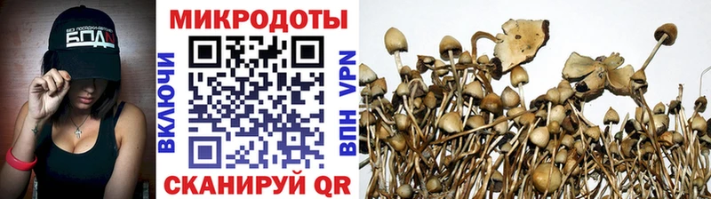 Галлюциногенные грибы Magic Shrooms Белово